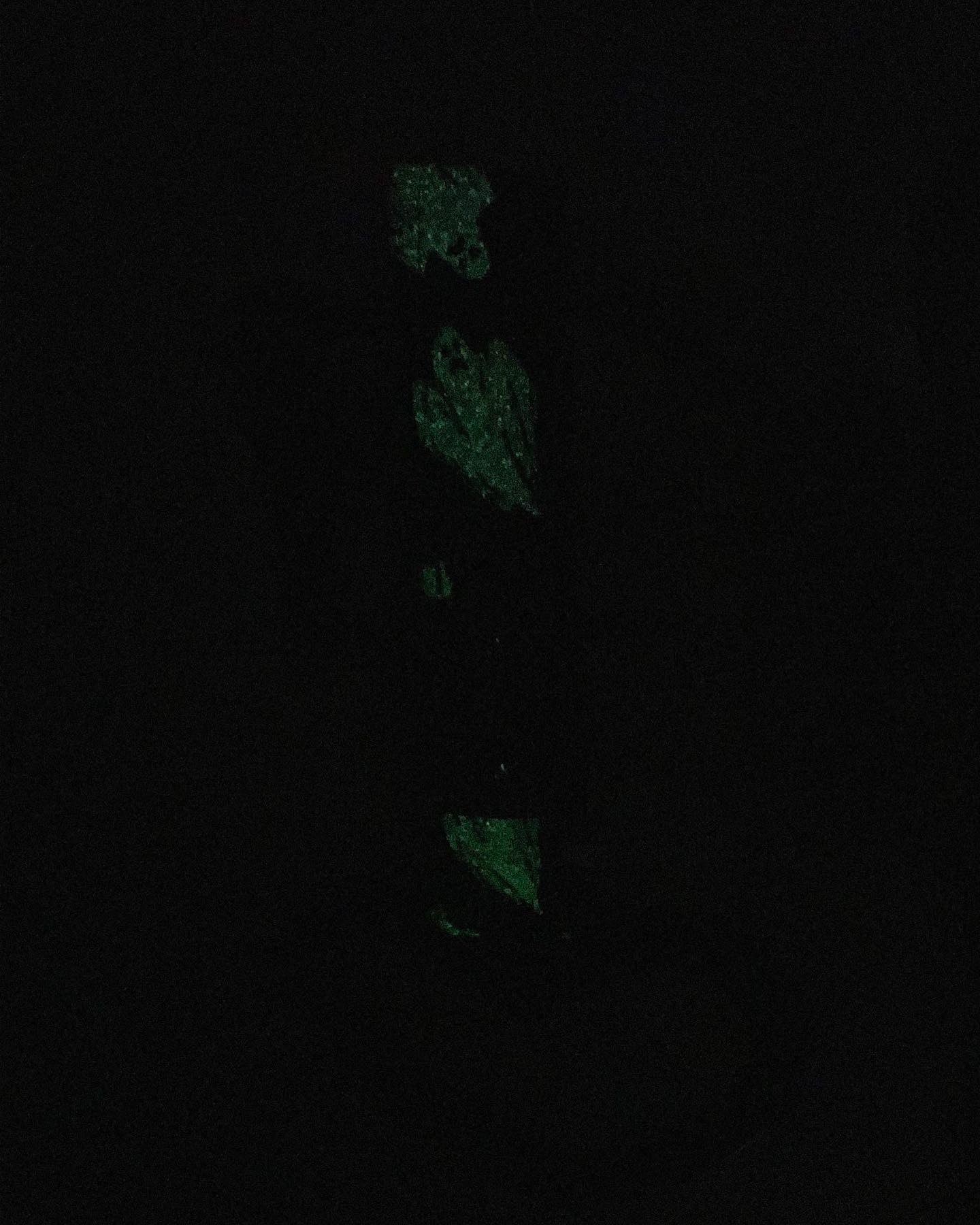 Glitter Glow In The Dark Tsurikawa